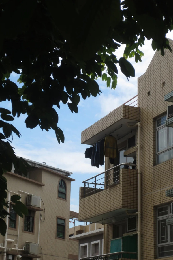 内地客赞荃湾是“香港最温柔另一面”?街坊揭1大盲点爆笑:荃湾边系咁嘅样?