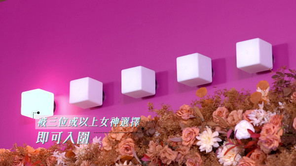 女神配对计划2|5大女神闺蜜阵容曝光!花生团乱入必成焦点 新招“热线教路”介入