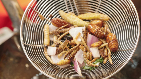 王祖藍廣西夜市¥100食勻7大美食！大膽挑戰「炸昆蟲雜錦」激讚：口感似食薯條