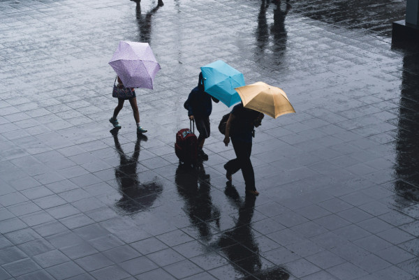 圖片來源:unsplash 內地客遊港遇文化衝擊!不解港人為何清一色揹背囊勁大反差 揭3大實用原因