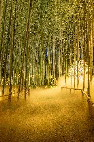 arashiyama-tsukitouro.jp arashiyama-tsukitouro.jp