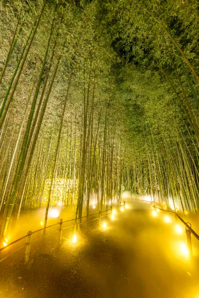 arashiyama-tsukitouro.jp arashiyama-tsukitouro.jp