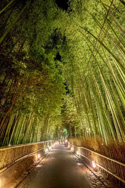 arashiyama-tsukitouro.jp arashiyama-tsukitouro.jp