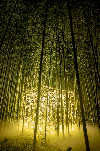 arashiyama-tsukitouro.jp arashiyama-tsukitouro.jp