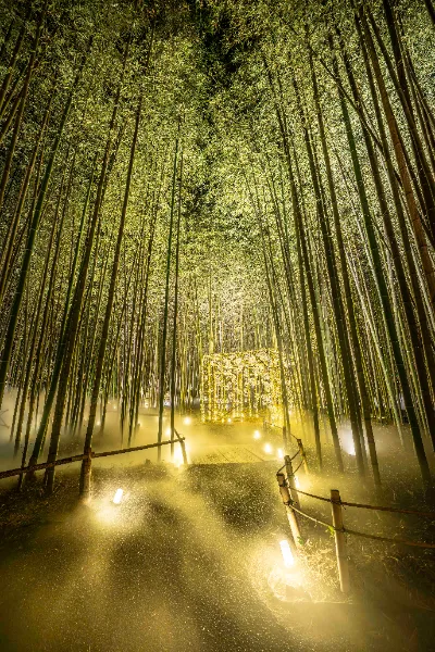 arashiyama-tsukitouro.jp arashiyama-tsukitouro.jp