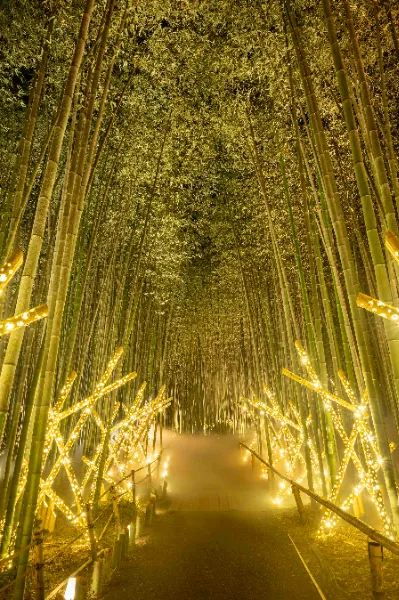 arashiyama-tsukitouro.jp arashiyama-tsukitouro.jp