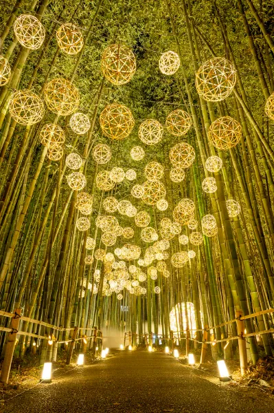 arashiyama-tsukitouro.jp arashiyama-tsukitouro.jp