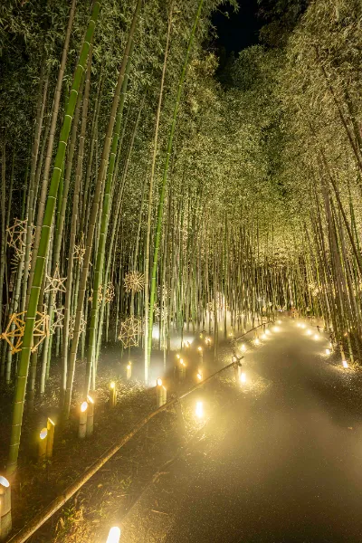 arashiyama-tsukitouro.jp arashiyama-tsukitouro.jp