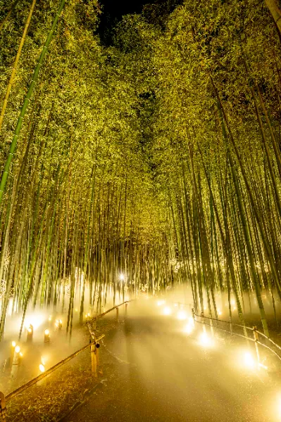 arashiyama-tsukitouro.jp arashiyama-tsukitouro.jp