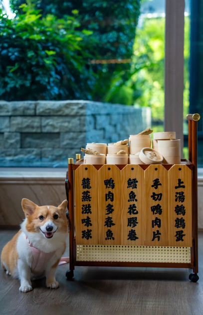 北角維港凱悅尚萃酒店北川小館全新川北菜單登場！嘆維港海景／毛孩免費食點心／限時85折