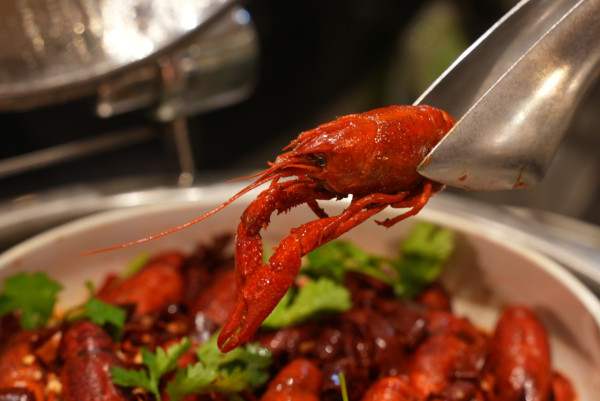 北角海逸海鮮自助餐買一送一！任食焗蠔蟹腳/港式煲仔飯/無限暢飲 記者直擊試食!