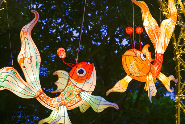 中秋必去！「大澳魚燈水陸巡遊」夢幻登場  | 燈影水鄉 × 百年古蹟 Staycation