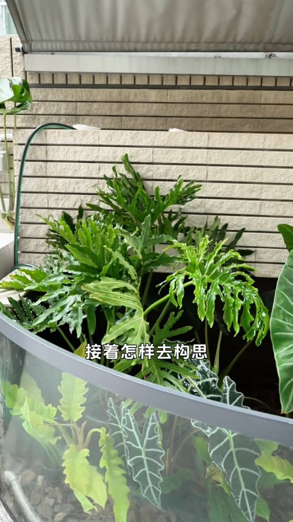 陳展鵬單文柔搬新豪宅複式獨立屋曝光！巨型庭院洗車玩水 樓底超高裝潢極簡約