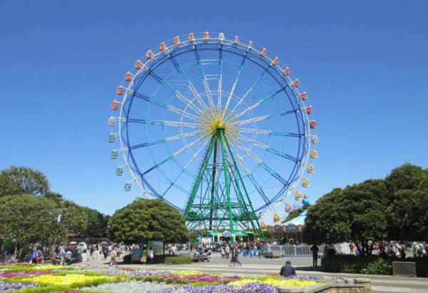 日本茨城秋季限定打卡好去處 國營常陸海濱公園波波草迎20週年綠紅漸變 + 4萬株迎賓花海