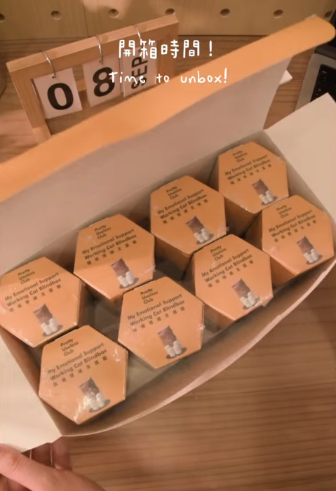 打工人疯抢“打工猫盲盒”表情动作道尽上班心声 网友狂赞:“拎刀那种正”