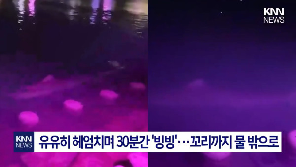 圖片來源:KNN NEWS 圖片來源:KNN NEWS
