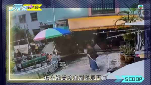 元朗村屋惡犬撕咬恐怖慘劇苦主現身 手指縫6針變形 患創傷後遺症長期於青山醫院覆診