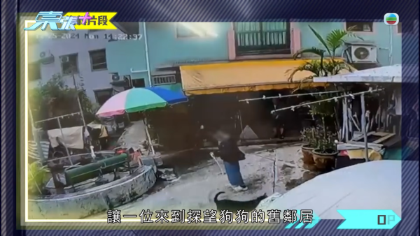 元朗村屋惡犬撕咬恐怖慘劇苦主現身 手指縫6針變形 患創傷後遺症長期於青山醫院覆診