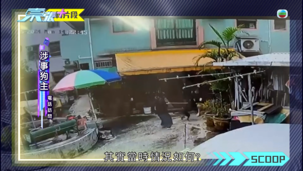 元朗村屋惡犬撕咬恐怖慘劇苦主現身 手指縫6針變形 患創傷後遺症長期於青山醫院覆診