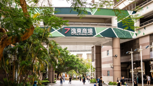東涌驚現全港最醜天橋！扭曲廢墟風像熱到熔？揭逸東邨地點 街坊爆料極速髹白
