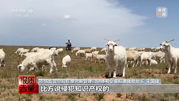 網購保暖衣服 靚料變「垃圾」？央視揭「綿羊絨」騙局！廠家曝由廉價化學纖維組成 差價逾十倍