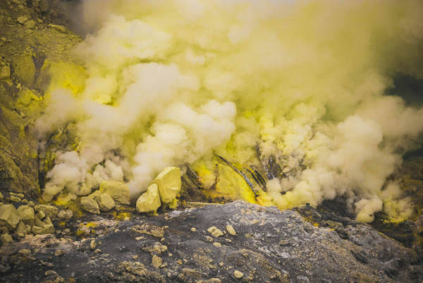 圖片來源:unsplash 內地爆「毒竹筍」食安醜聞!黑心工場用硫磺熏制漂白 二氧化硫超標逾20倍恐傷身