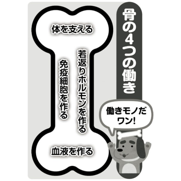 圖片來源：《女性セブンプラス》