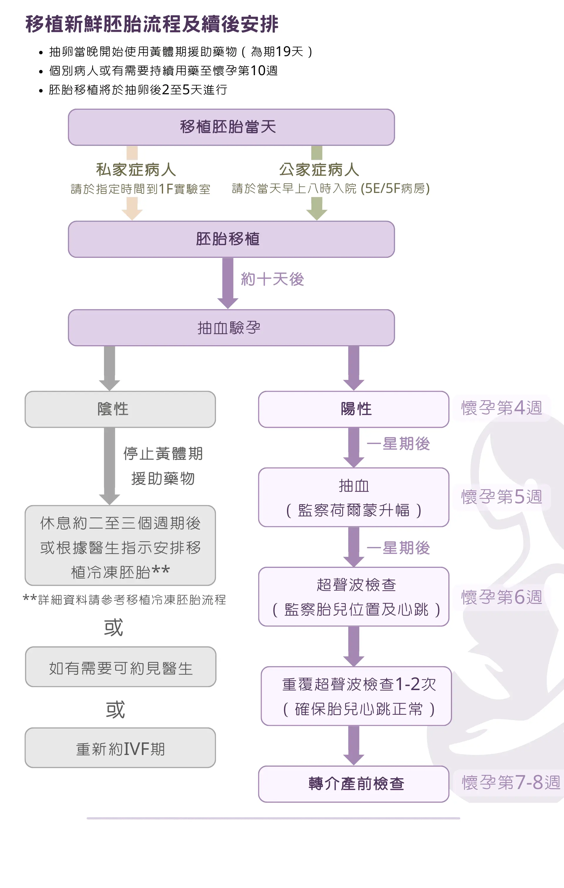 威爾斯親王醫院體外受精（IVF）流程（圖片來源︰威爾斯親王醫院）