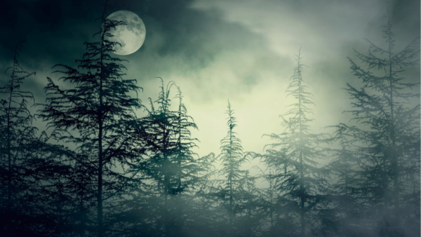 图片来源：Canva