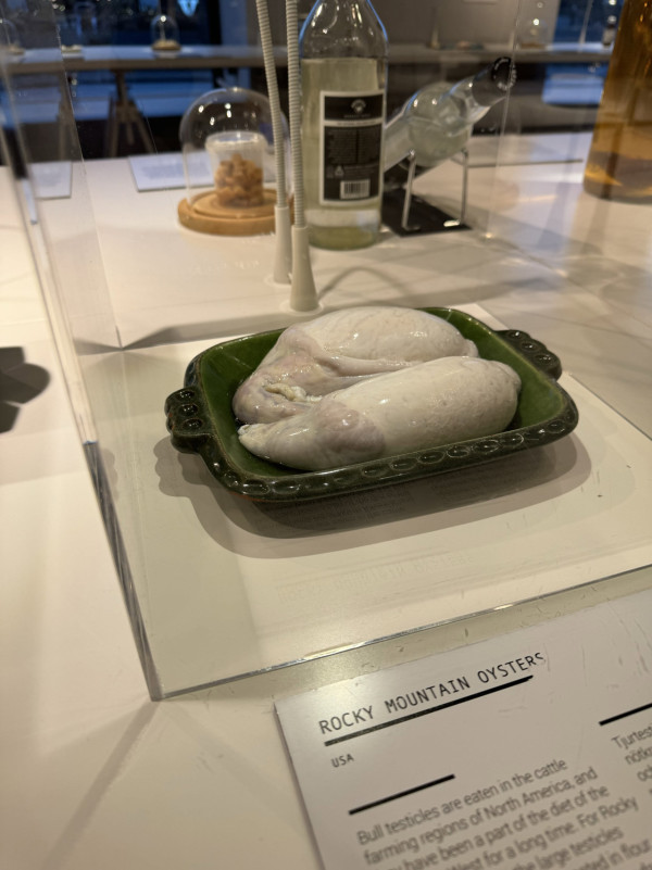 《嘔心食物博物館》9月登陸啟德！挑戰全球最臭罐頭+活蛆芝士 附早鳥門票$28起+5大展區詳情