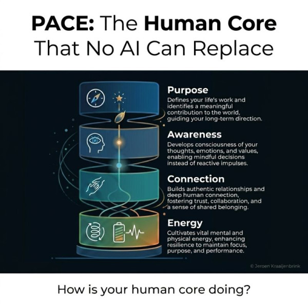 AI时代必须具备“PACE”4层能力。图片来源:LinkedIn