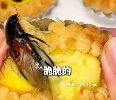 黑暗料理｜內地驚現「水曱甴蛋撻」補腎氣 網民崩潰：借錢都要告你！中醫警告4類人忌食