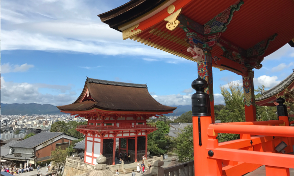 李居明亲授“饿木命”增运大法｜3. 到寺庙拥抱参天大树。图片来源：Canva