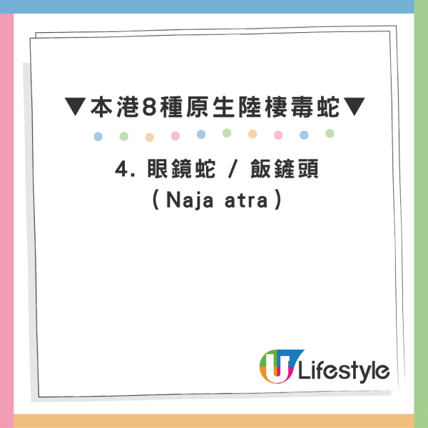 荃湾闹市惊现黑白间条蛇 网友忧属致命毒蛇“银脚带”：上星期就在我屋邨门口出现过