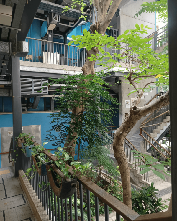 【打卡好去处2026】香港7个IG热门打卡景点 Gen Z最爱韩系Cafe/彩色小屋/手绘灯笼/港版小镰仓