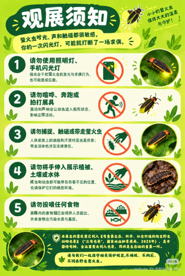 深圳「月下螢河」螢火蟲主題展限定登場 100%中獎扭蛋!附交通及入場攻略