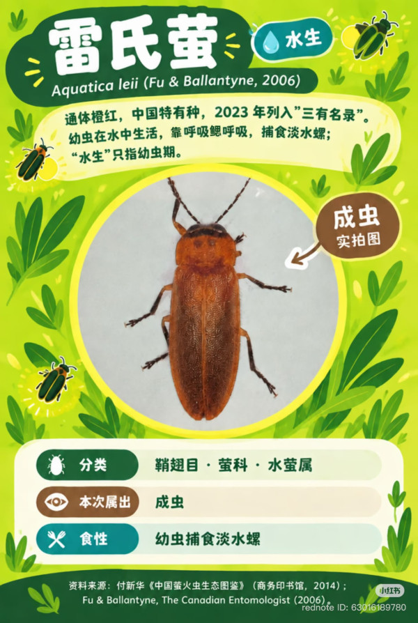 深圳「月下螢河」螢火蟲主題展限定登場 100%中獎扭蛋!附交通及入場攻略