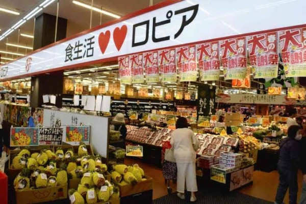 圖片來源:The Japan News 台北大巨蛋「遠東Garden City」盛大登場!3.6萬坪莫內花園全樓層攻略+四大分區必吃必逛品牌懶人包