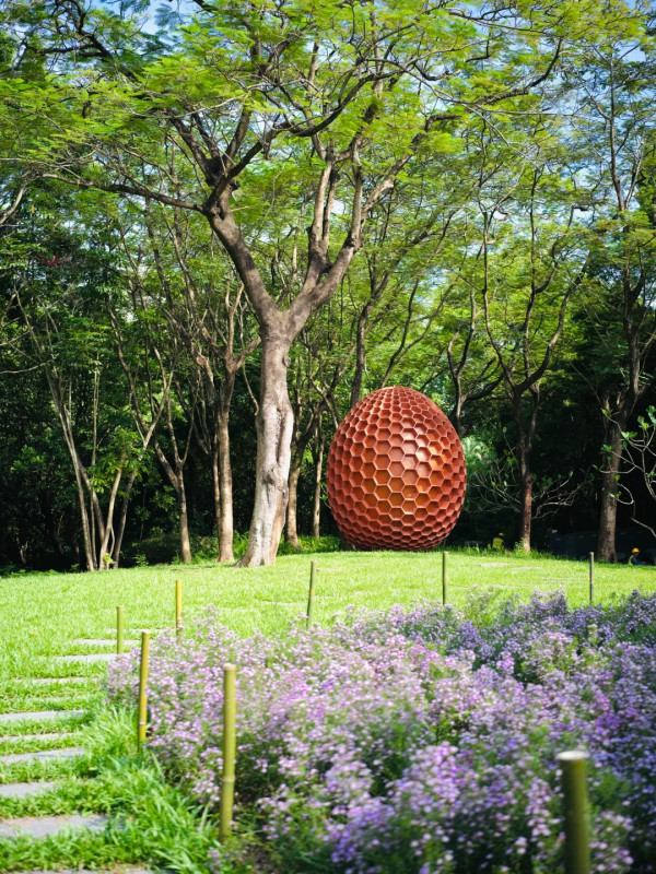 深圳秋日賞花好去處!羅湖/福田/寶安免費花海秘境6大推介!附地址交通