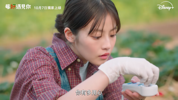爱上草莓的季节线上看|池昌旭今田美樱超甜剧情5大看点!Disney+集数更新时间+演员角色阵容