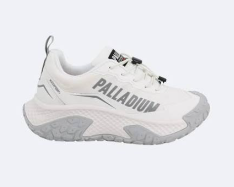 圖片來源：Palladium
