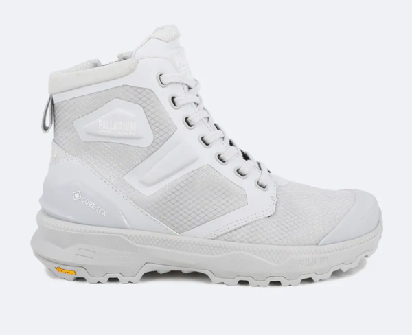 圖片來源：palladium