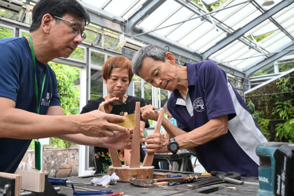嘉道理农场木艺展登场！免费登记参观2米高巨型雕塑／买限定猫头鹰木雕