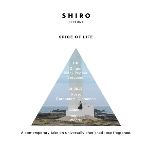 Threads網民力推！SHIRO 6大必買神級好物 去日本即囤貨、護手精華留香8小時！附港日台價格對比 