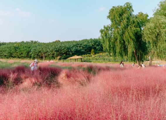parks.seoul.go.kr parks.seoul.go.kr