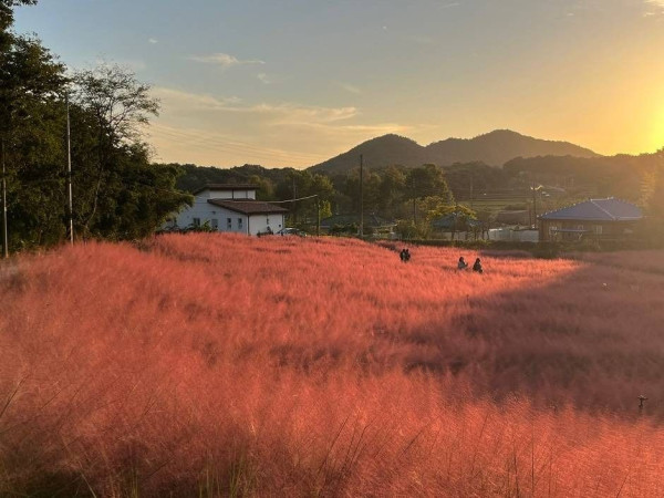 visitkorea.or.kr visitkorea.or.kr