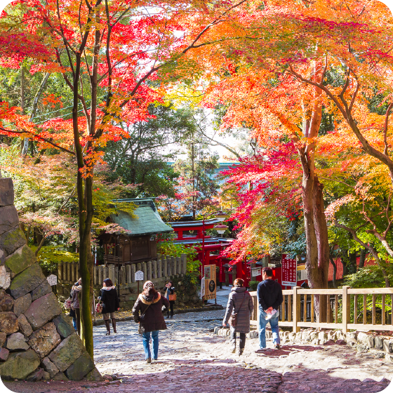 名古屋賞楓好去處|市區郊區紅葉賞楓景點8大必去推介 名古屋城、白鳥庭園、香嵐溪附一日遊行程