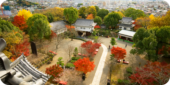名古屋賞楓好去處|市區郊區紅葉賞楓景點8大必去推介 名古屋城、白鳥庭園、香嵐溪附一日遊行程