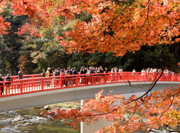 tourismtoyota.jp tourismtoyota.jp
