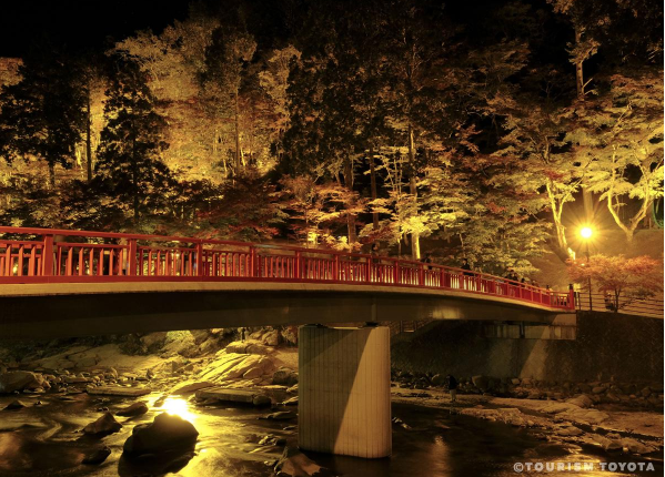 tourismtoyota.jp tourismtoyota.jp